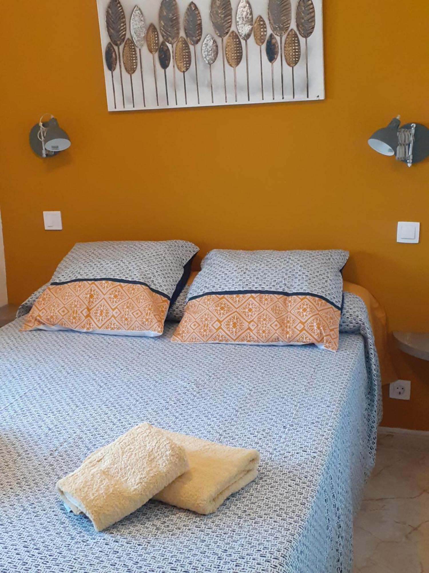 Appartement Vue Mer 40 Metres De La Plage 库列拉 外观 照片